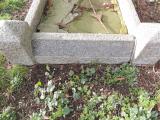 image of grave number 560018